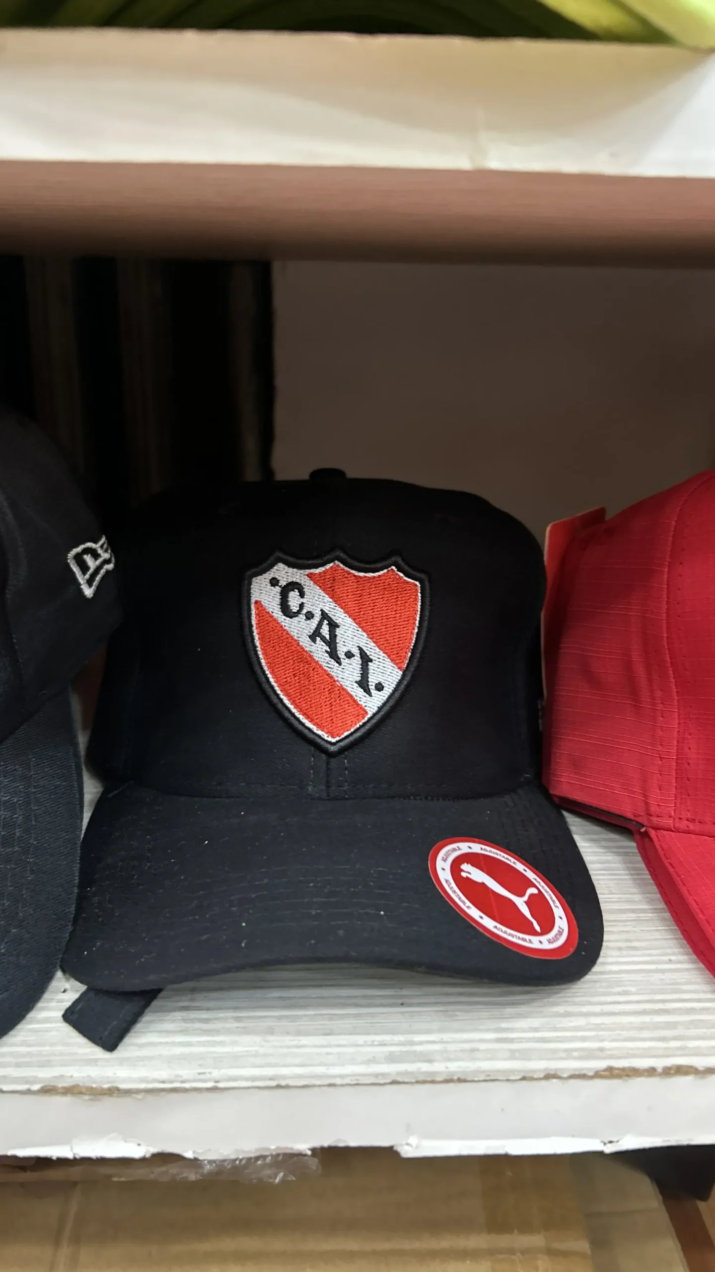 Gorras Regulables - Imagen 94